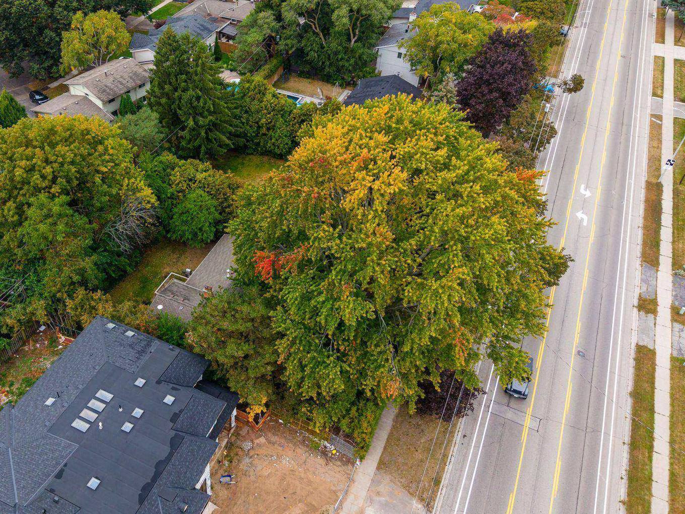 Aerial view of the 326 Walkers Line lot and its mature trees